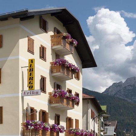 Hotel Erika Auronzo di Cadore Exterior photo